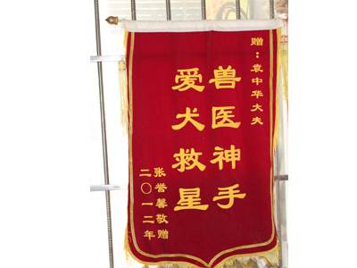 锦旗